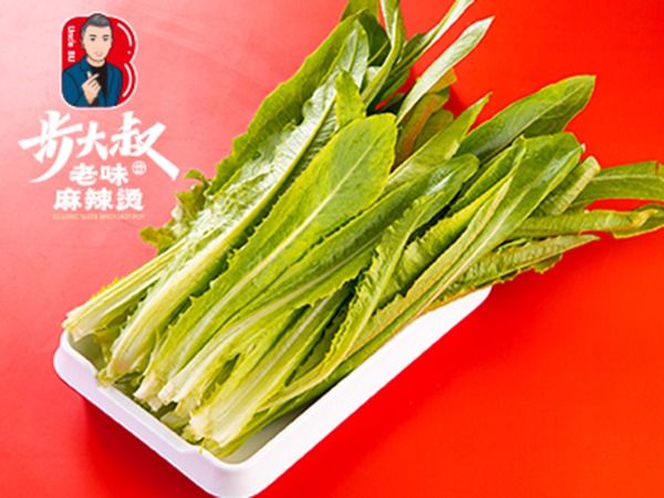 【另加】油麦菜